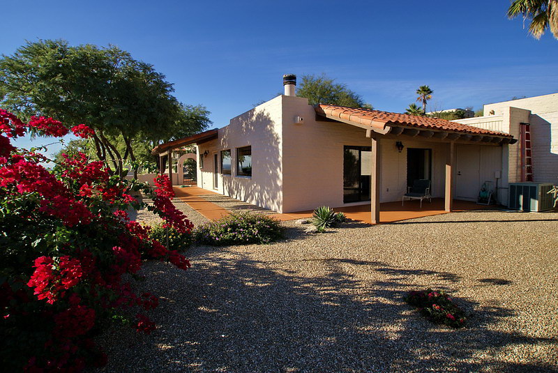 012backyard.jpg