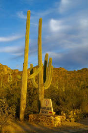 2008/favsnattrail.jpg