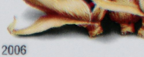 2008/7020017a28.jpg