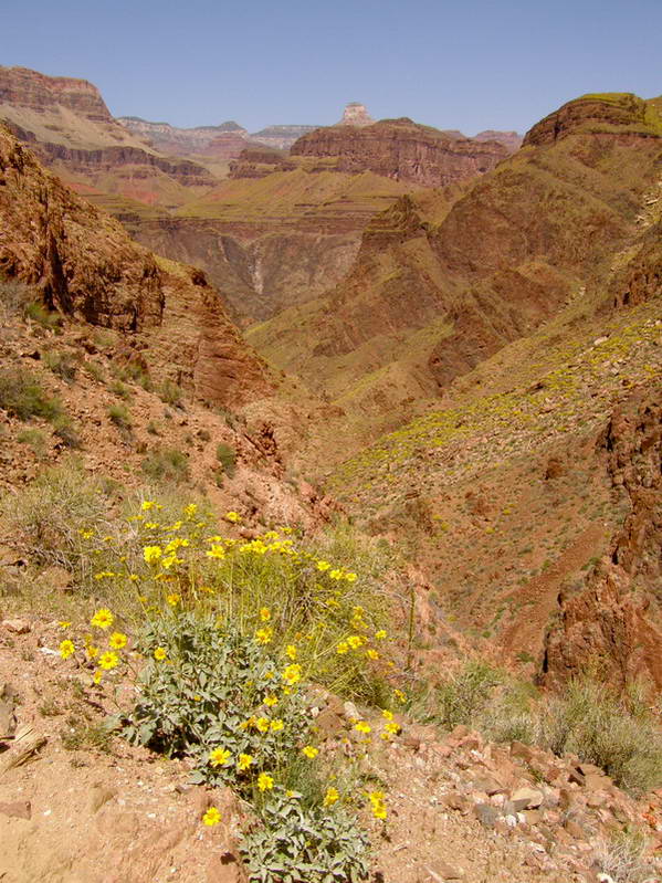 2008/GCH51.jpg