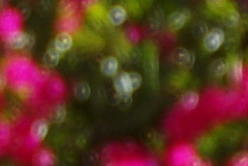 April2009/1735gtbok35.jpg