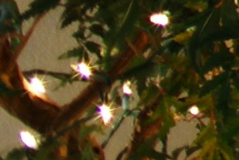 Jan2010/35mmffcma40.jpg