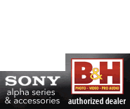 Jan2010/bh-km-sony-185x155.gif