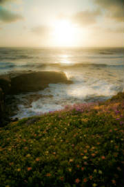June2009/oceanblur.jpg