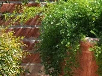 Late2012/o1442mid25f80.jpg