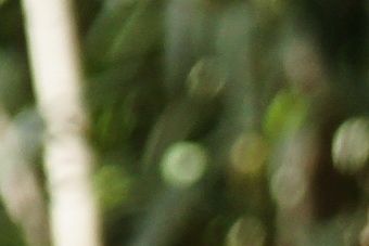 March2010/300ssmbokff40.jpg