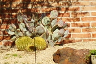 March2010/sfa56t.jpg