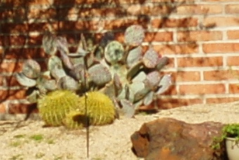 March2010/sfa80.jpg