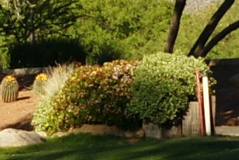 May2010/35f40ctr3.jpg