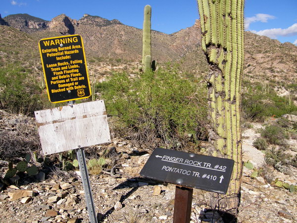Ptour004.jpg
