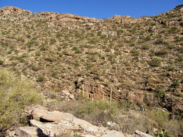 Ptour008.jpg