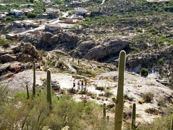 Ptour010.jpg