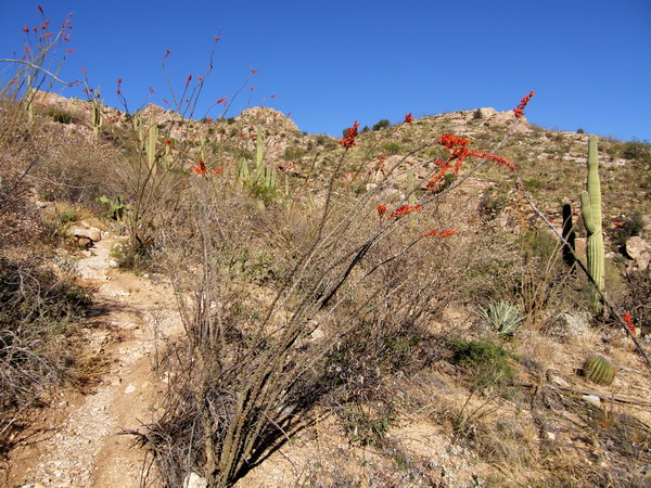 Ptour011.jpg