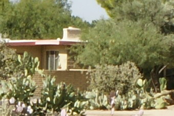 September2009/1635ctrmf16b.jpg