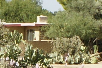 September2009/1635ctrmf80b.jpg