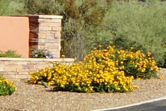 September2009/1635ctrtelf56b.jpg