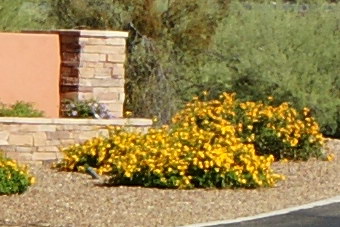 September2009/1635ctrtelf80b.jpg