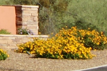 September2009/1635telcnf16b.jpg