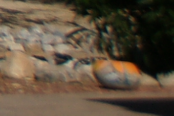 September2009/24cn40.jpg