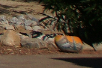 September2009/24cn80.jpg