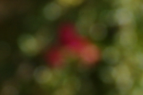 September2009/26w70200f28bokz.jpg