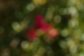 September2009/27w70200f40bokz.jpg
