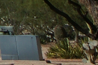 September2009/35cn11.jpg