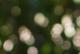 September2009/5028bokcmp35.jpg