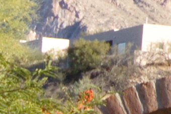 endof2011/sx1020mid16f11.jpg