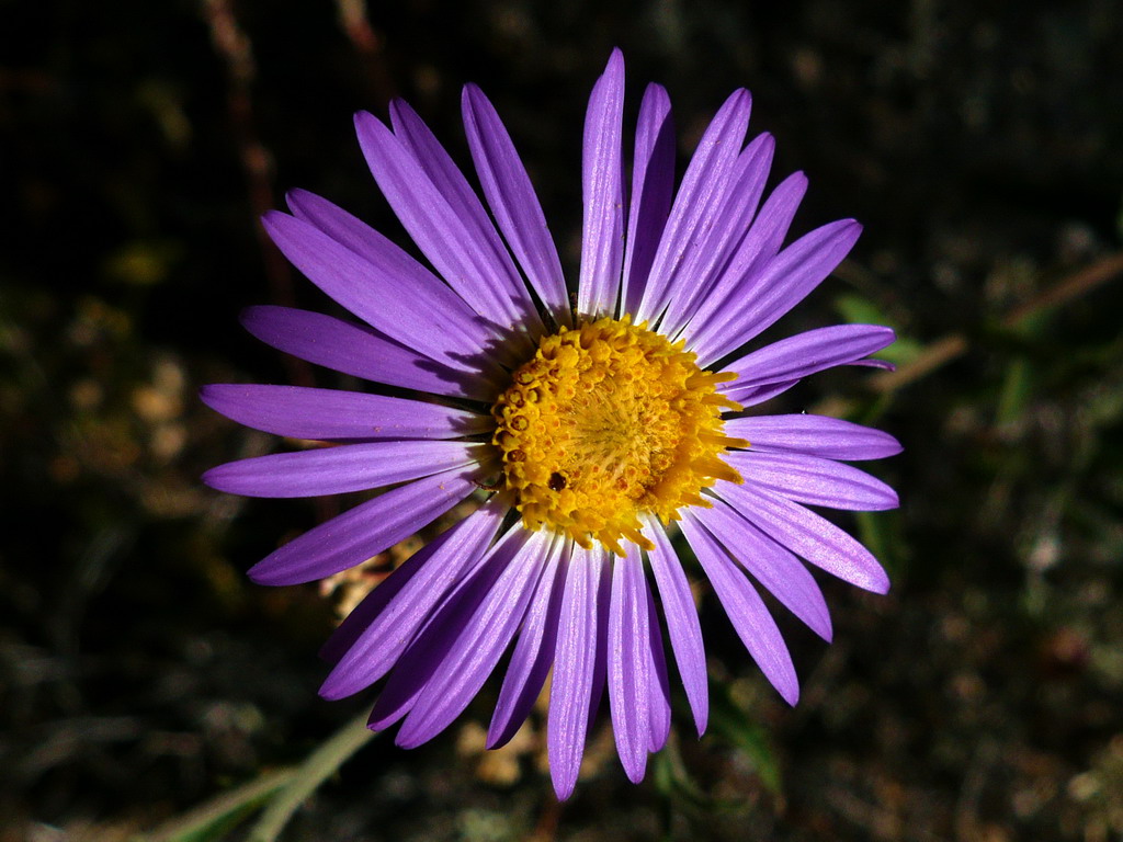 favorites60.jpg