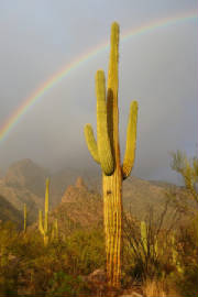 march2009/raincts2.jpg