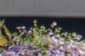 march2009/3514cn14.jpg
