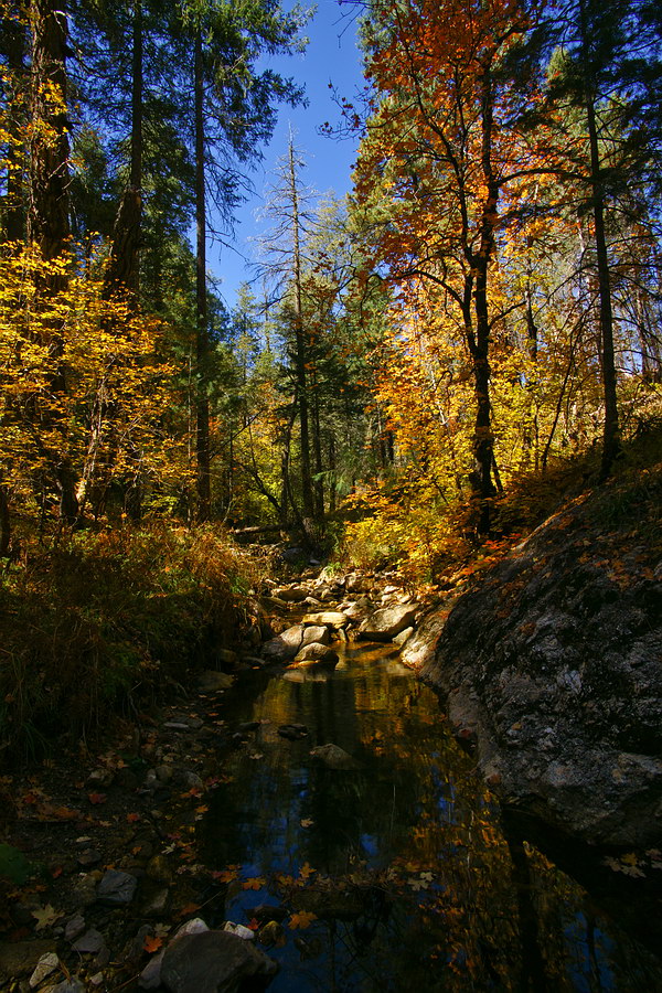 october08/falltour_10.jpg