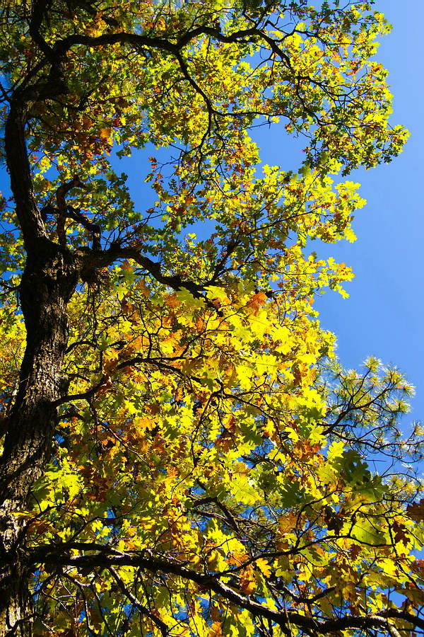 october08/falltour_13.jpg