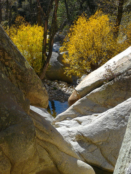 october08/redmpld2.jpg